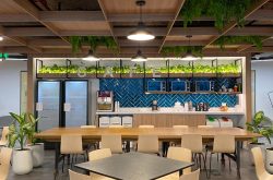 carolina-marinelli-PkbyxvkGWcU-unsplash